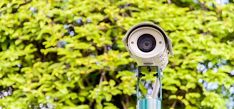 Advanced Surveillance Solutions for Every Need in Dania Beach